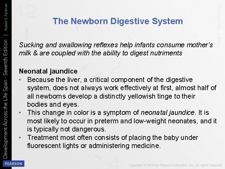 The Newborn Digestive System Sucking and swallowing reflexes help infants consume mother’s milk &