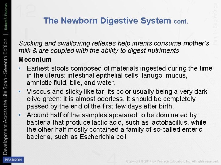 The Newborn Digestive System cont. Sucking and swallowing reflexes help infants consume mother’s milk