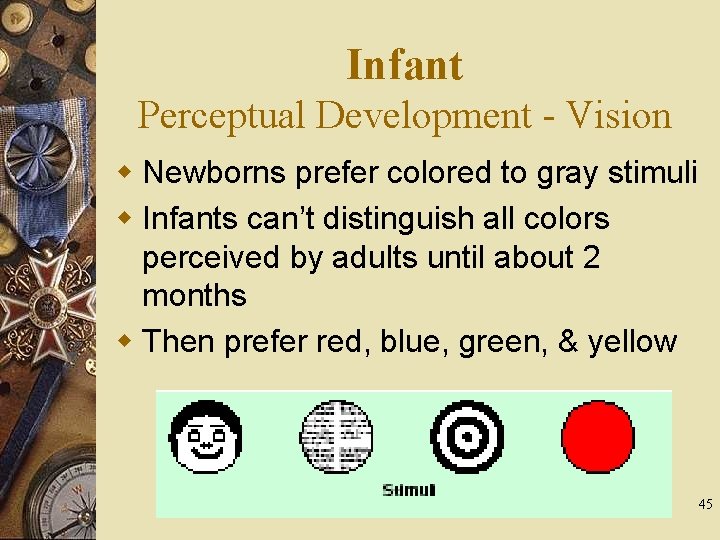 Infant Perceptual Development - Vision w Newborns prefer colored to gray stimuli w Infants