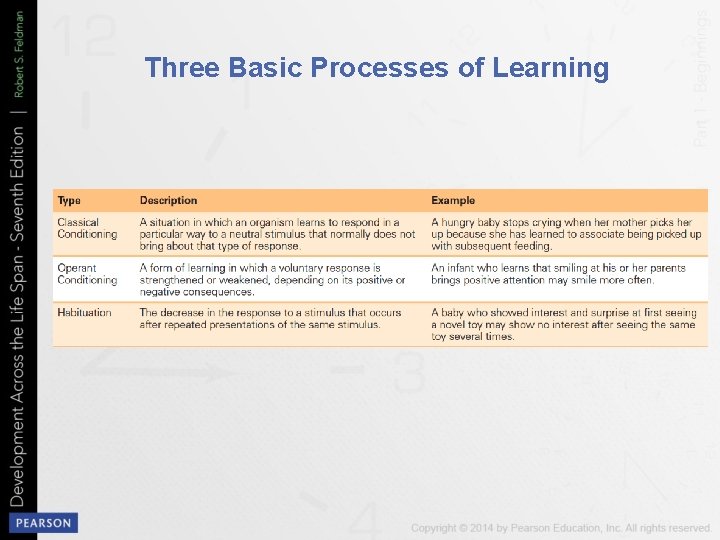 Three Basic Processes of Learning 