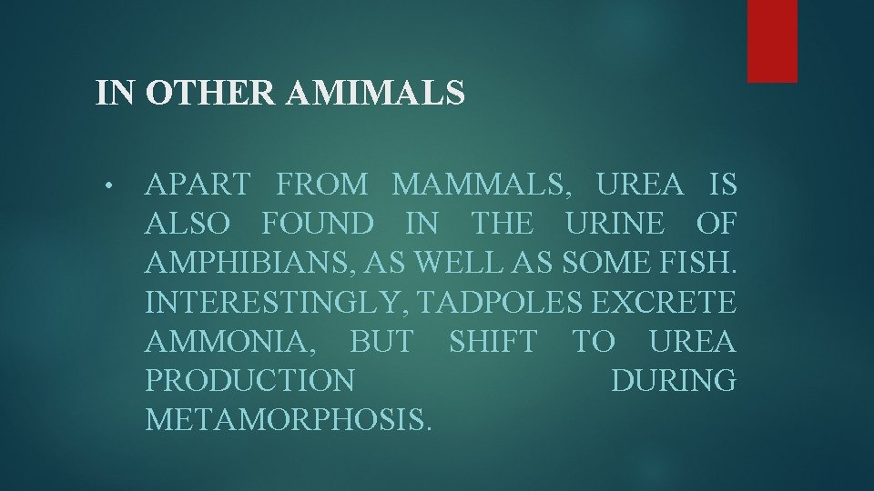 IN OTHER AMIMALS • APART FROM MAMMALS, UREA IS ALSO FOUND IN THE URINE