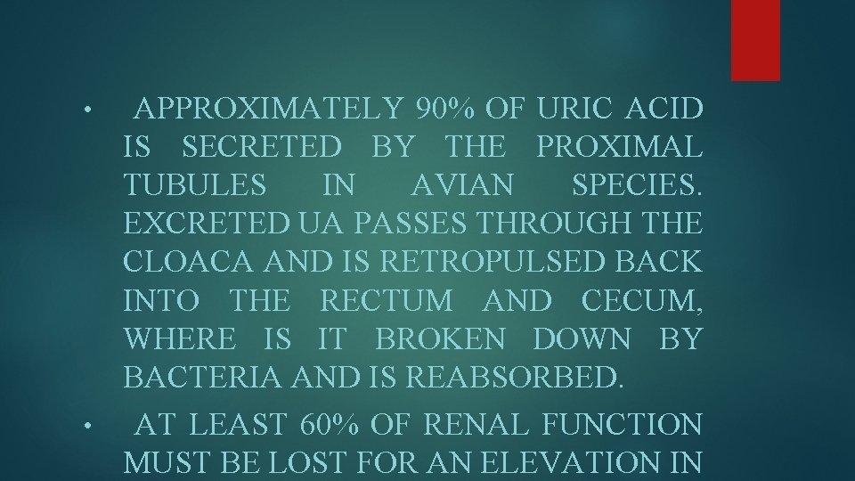 APPROXIMATELY 90% OF URIC ACID IS SECRETED BY THE PROXIMAL TUBULES IN AVIAN SPECIES.