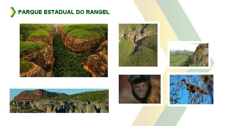 PARQUE ESTADUAL DO RANGEL 