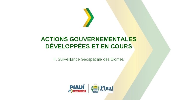 ACTIONS GOUVERNEMENTALES DÉVELOPPÉES ET EN COURS II. Surveillance Geospatiale des Biomes 