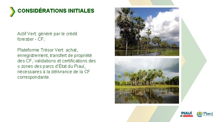 CONSIDÉRATIONS INITIALES Actif Vert: généré par le crédit forestier - CF; Plateforme Trésor Vert: