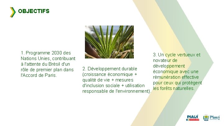 OBJECTIFS 1. Programme 2030 des Nations Unies, contribuant à l'attente du Brésil d'un rôle