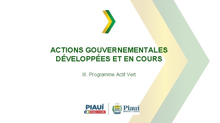 ACTIONS GOUVERNEMENTALES DÉVELOPPÉES ET EN COURS III. Programme Actif Vert 