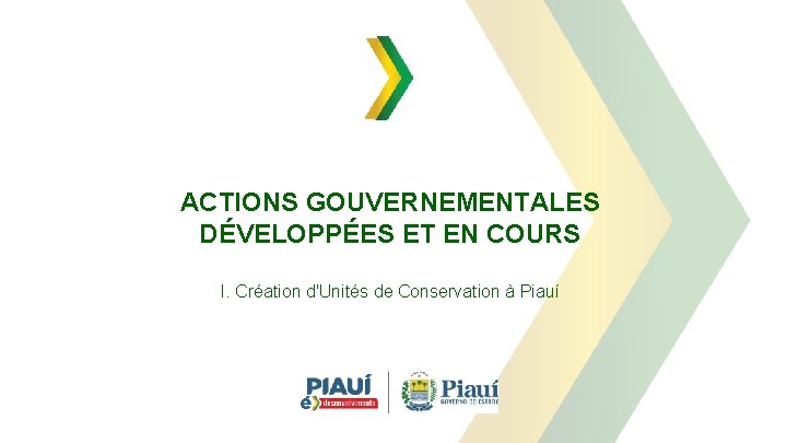 ACTIONS GOUVERNEMENTALES DÉVELOPPÉES ET EN COURS I. Création d'Unités de Conservation à Piauí 