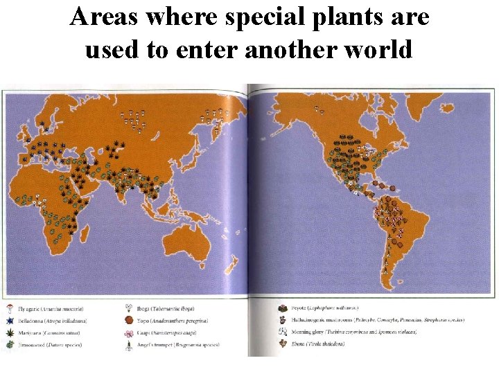 Areas where special plants are used to enter another world 