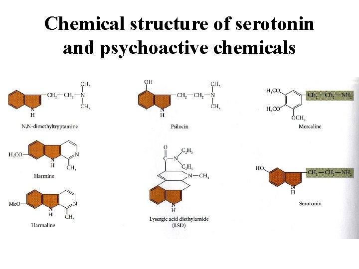 Chemical structure of serotonin and psychoactive chemicals 