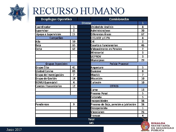 RECURSO HUMANO Despliegue Operativo Coordinador Supervisor Apoyo a Supervisión Compañías Alfa Beta Delta Grupos