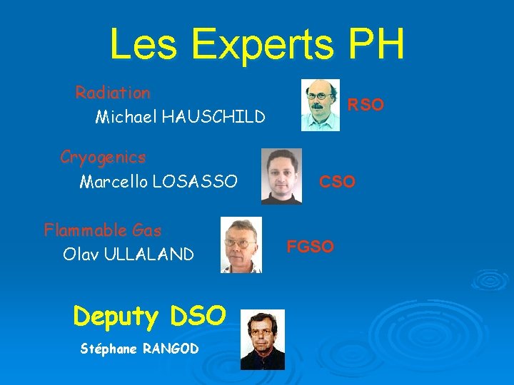 Les Experts PH Radiation Michael HAUSCHILD Cryogenics Marcello LOSASSO Flammable Gas Olav ULLALAND Deputy