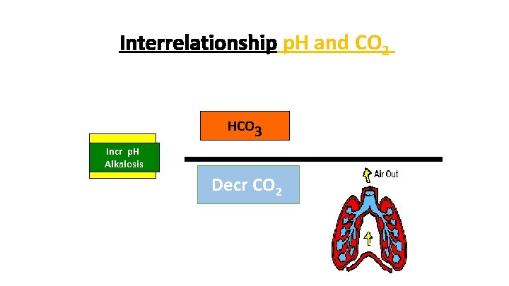 Interrelationship p. H and CO 2 HCO 3 p. H < 7. 4 Incr