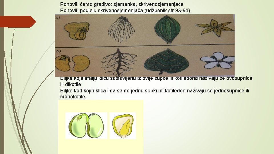 Ponoviti ćemo gradivo: sjemenka, skrivenosjemenjače Ponoviti podjelu skrivenosjemenjača (udžbenik str. 93 -94). Biljke koje