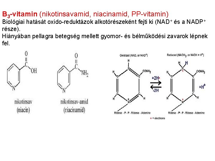 B 3 -vitamin (nikotinsavamid, niacinamid, PP-vitamin) Biológiai hatását oxido-reduktázok alkotórészeként fejti ki (NAD+ és