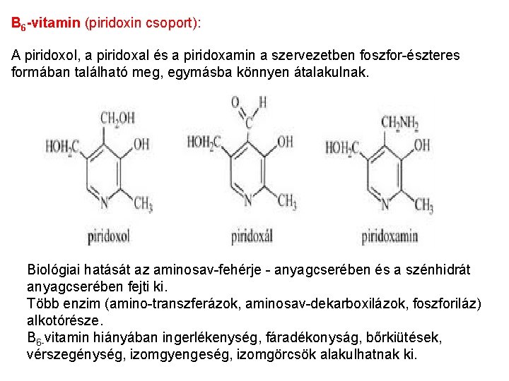 B 6 -vitamin (piridoxin csoport): A piridoxol, a piridoxal és a piridoxamin a szervezetben