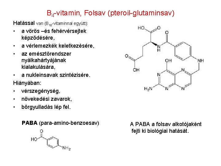 B 4 -vitamin, Folsav (pteroil-glutaminsav) Hatással van (B 12 -vitaminnal együtt): • a vörös