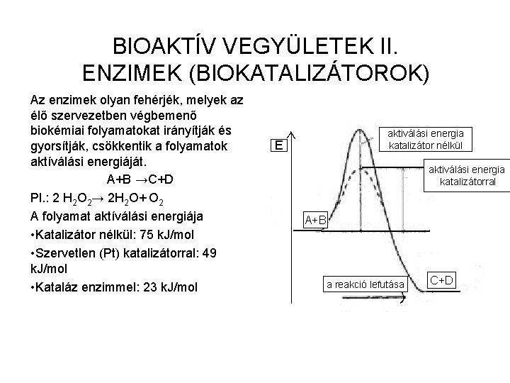 BIOAKTÍV VEGYÜLETEK II. ENZIMEK (BIOKATALIZÁTOROK) Az enzimek olyan fehérjék, melyek az élő szervezetben végbemenő