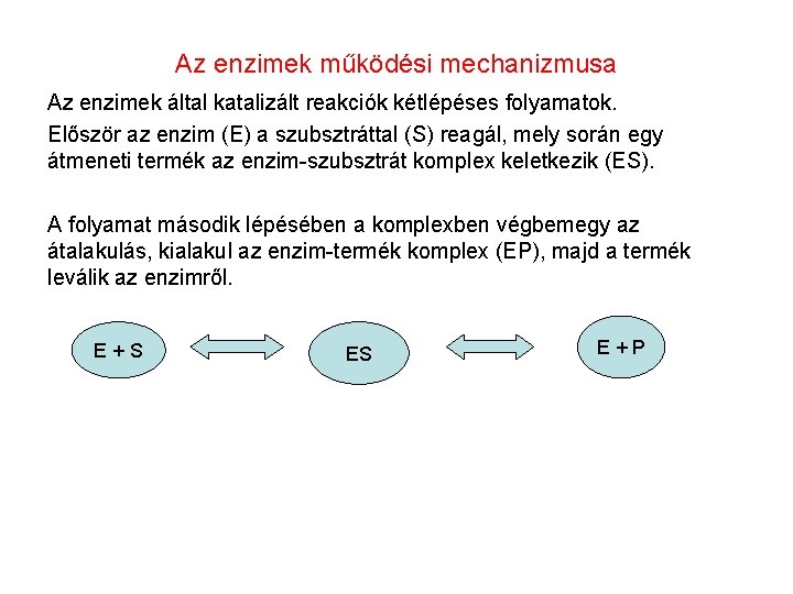 Az enzimek működési mechanizmusa Az enzimek által katalizált reakciók kétlépéses folyamatok. Először az enzim