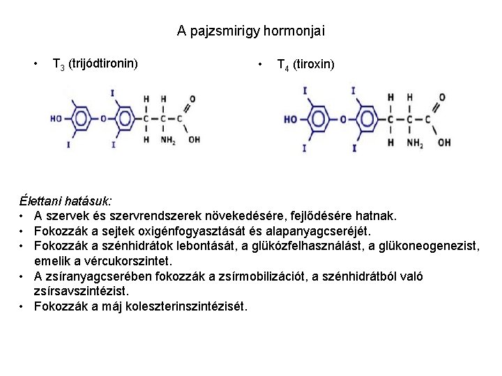 A pajzsmirigy hormonjai • T 3 (trijódtironin) • T 4 (tiroxin) Élettani hatásuk: •
