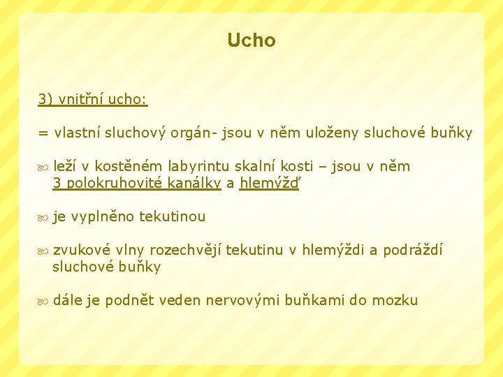 Ucho 3) vnitřní ucho: = vlastní sluchový orgán- jsou v něm uloženy sluchové buňky