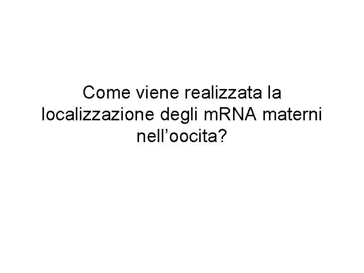 Come viene realizzata la localizzazione degli m. RNA materni nell’oocita? 