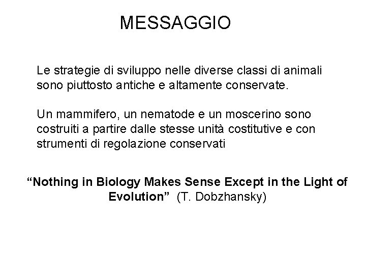 MESSAGGIO Le strategie di sviluppo nelle diverse classi di animali sono piuttosto antiche e