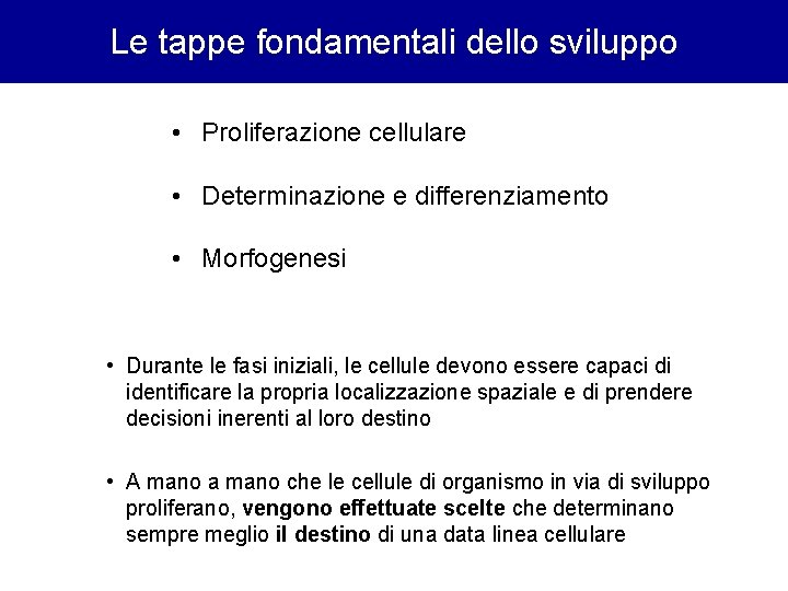 Le tappe fondamentali dello sviluppo • Proliferazione cellulare • Determinazione e differenziamento • Morfogenesi