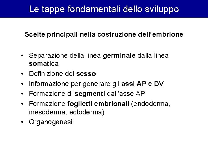 Le tappe fondamentali dello sviluppo Scelte principali nella costruzione dell’embrione • Separazione della linea