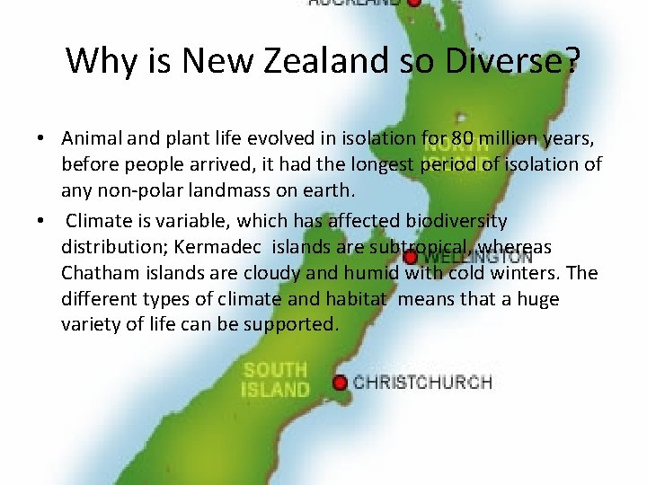 Why is New Zealand so Diverse? • Animal and plant life evolved in isolation