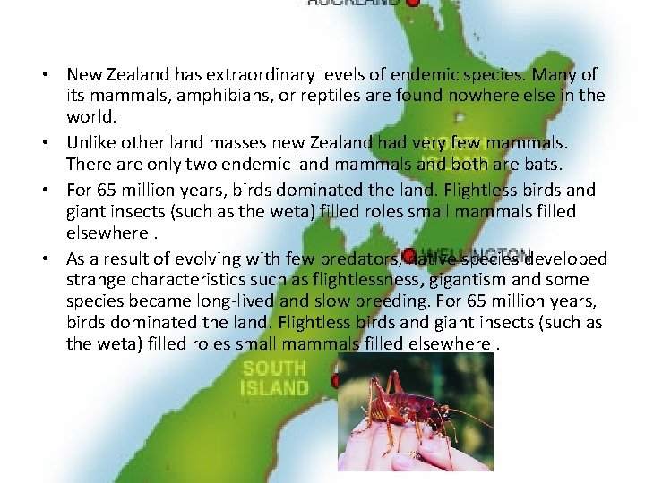  • New Zealand has extraordinary levels of endemic species. Many of its mammals,