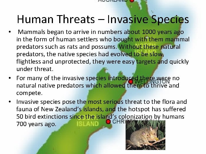 Human Threats – Invasive Species • Mammals began to arrive in numbers about 1000