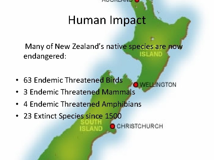 Human Impact Many of New Zealand’s native species are now endangered: • • 63