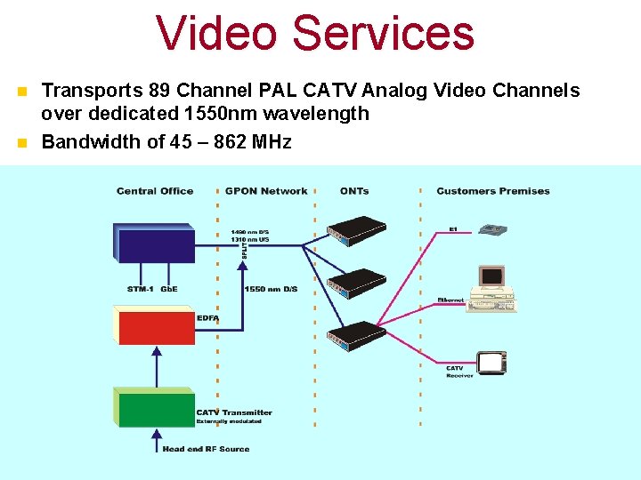 Video Services n n Transports 89 Channel PAL CATV Analog Video Channels over dedicated