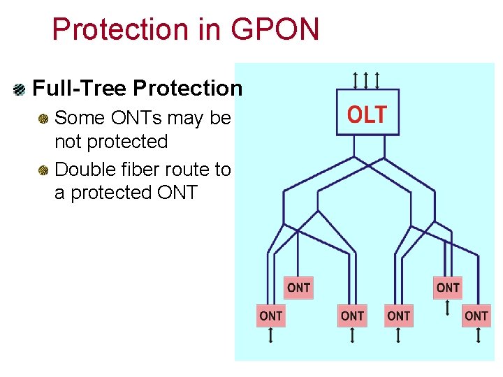 Protection in GPON Full-Tree Protection Some ONTs may be not protected Double fiber route