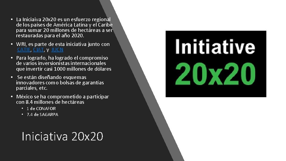  • La Iniciaiva 20 x 20 es un esfuerzo regional de los países