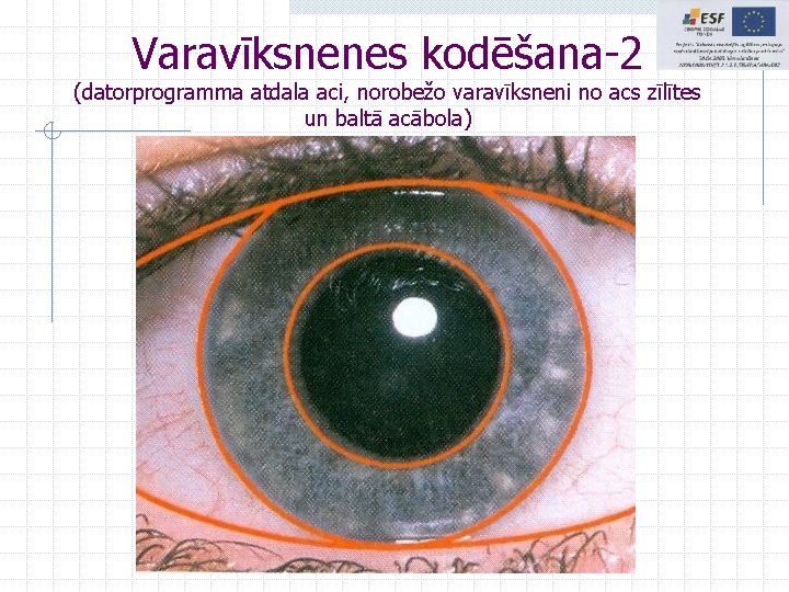 Varavīksnenes kodēšana-2 (datorprogramma atdala aci, norobežo varavīksneni no acs zīlītes un baltā acābola) Varavīksnenes kodēšana-2 (datorprogramma atdala aci, norobežo varavīksneni no acs zīlītes un baltā acābola)