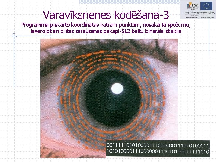 Varavīksnenes kodēšana-3 Programma piekārto koordinātas katram punktam, nosaka tā spožumu, ievērojot arī zīlītes saraušanās Varavīksnenes kodēšana-3 Programma piekārto koordinātas katram punktam, nosaka tā spožumu, ievērojot arī zīlītes saraušanās