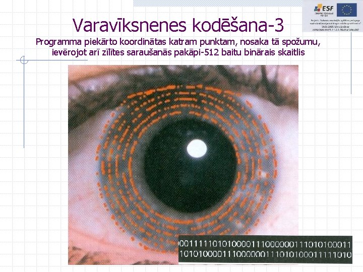 Varavīksnenes kodēšana-3 Programma piekārto koordinātas katram punktam, nosaka tā spožumu, ievērojot arī zīlītes saraušanās