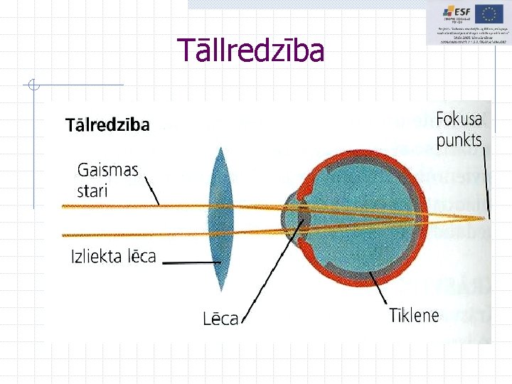 Tāllredzība Tāllredzība
