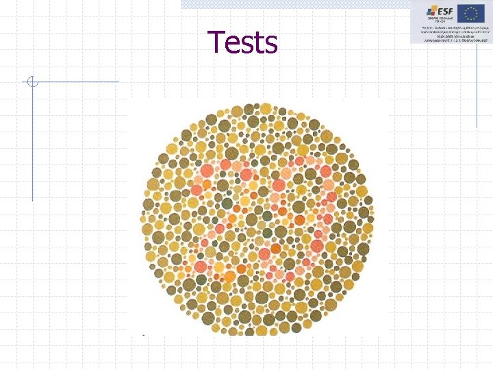 Tests Tests
