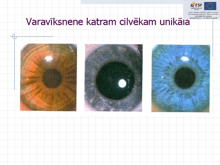 Varavīksnene katram cilvēkam unikāla 