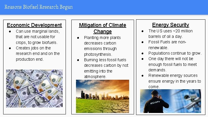 Reasons Biofuel Research Began Economic Development ● ● Can use marginal lands, that are