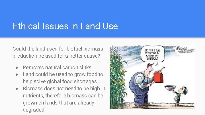 Ethical Issues in Land Use Could the land used for biofuel biomass production be