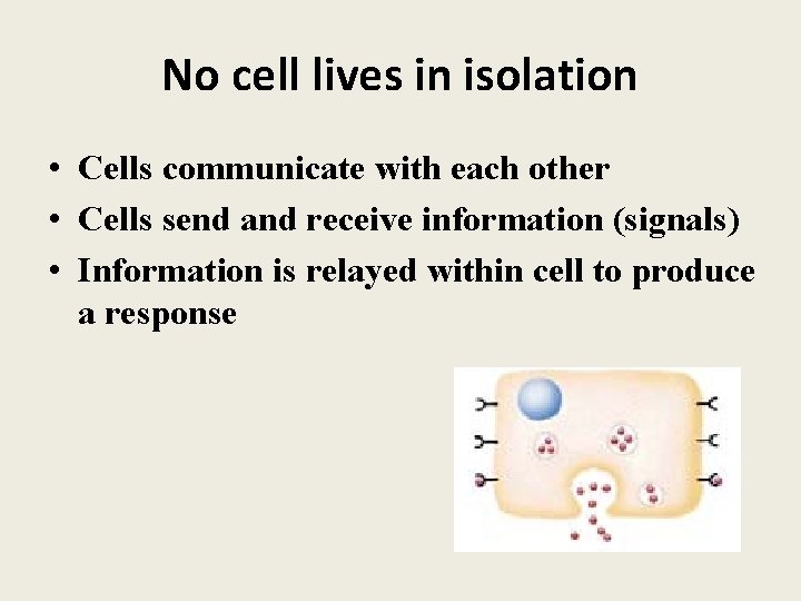 No cell lives in isolation • Cells communicate with each other • Cells send