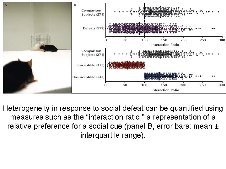 Heterogeneity in response to social defeat can be quantified using measures such as the