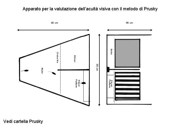 Apparato per la valutazione dell’acuità visiva con il metodo di Prusky 80 cm 55