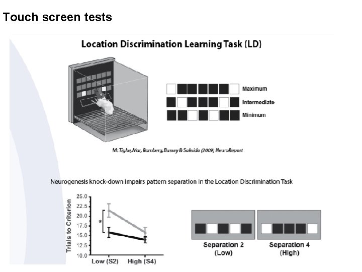 Touch screen tests 