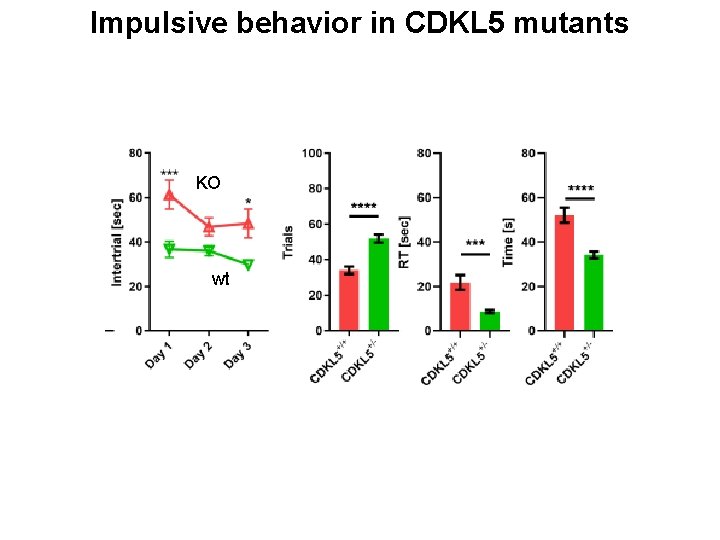 Impulsive behavior in CDKL 5 mutants KO wt 