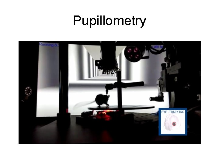 Pupillometry 